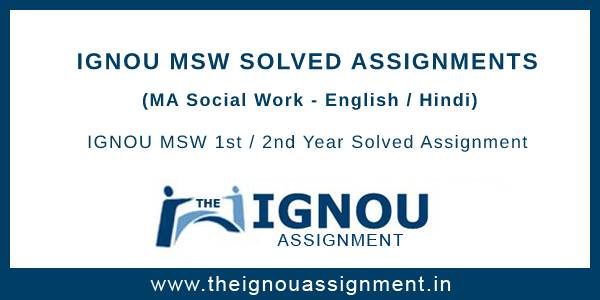 msw assignment answers