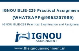 IGNOU BLIE-229 Practical Assignment