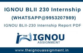 IGNOU BLII 230 Internship
